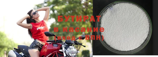 сатива Беломорск
