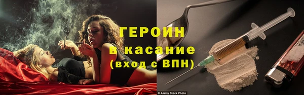 сатива Беломорск