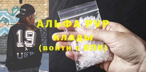 сатива Беломорск