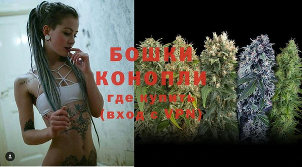 гашик Богородск