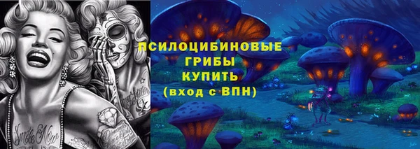 Альфа ПВП Богданович